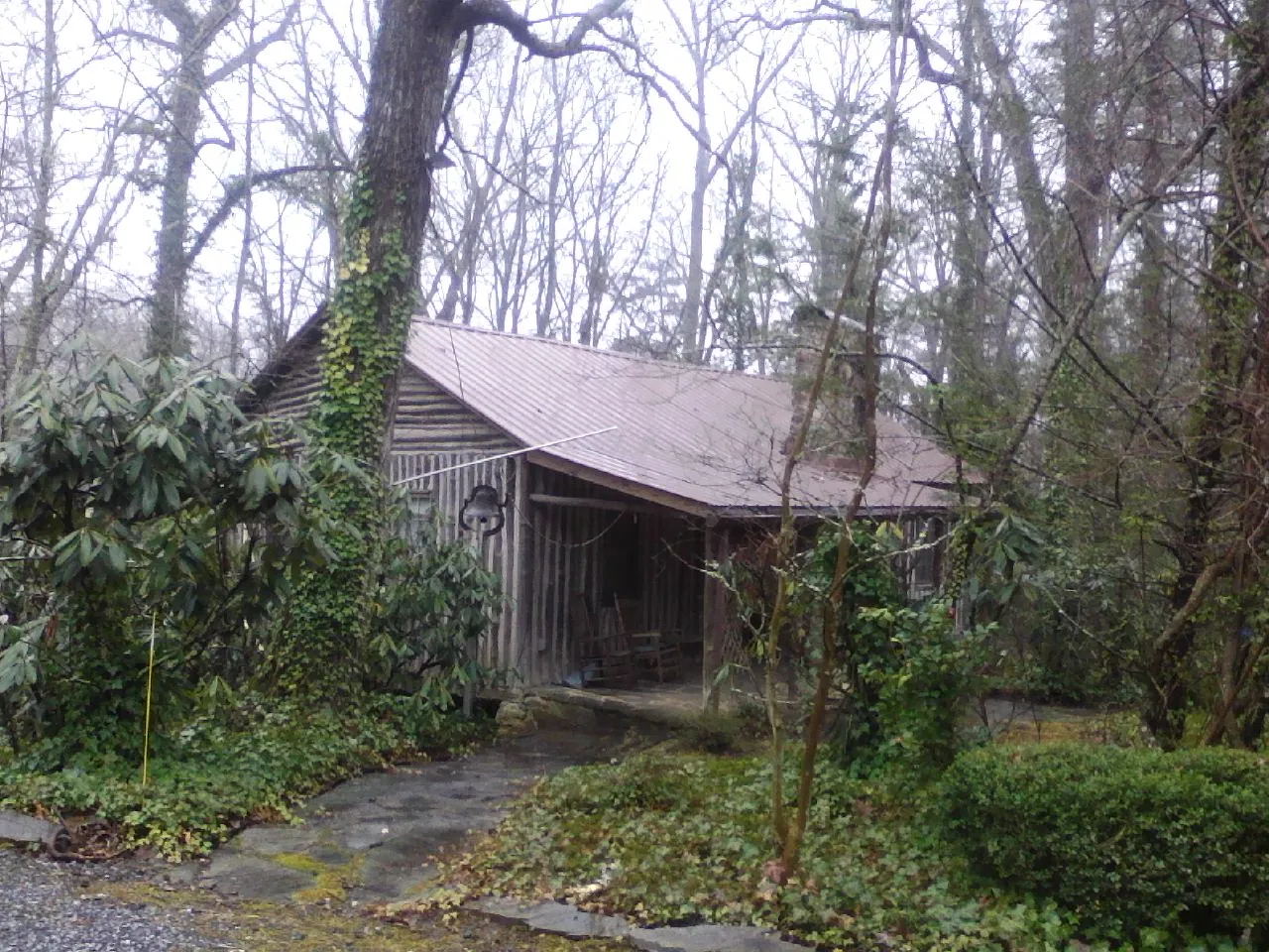 Weathered metal roof on an old board sided cabin in the woods in La Ward