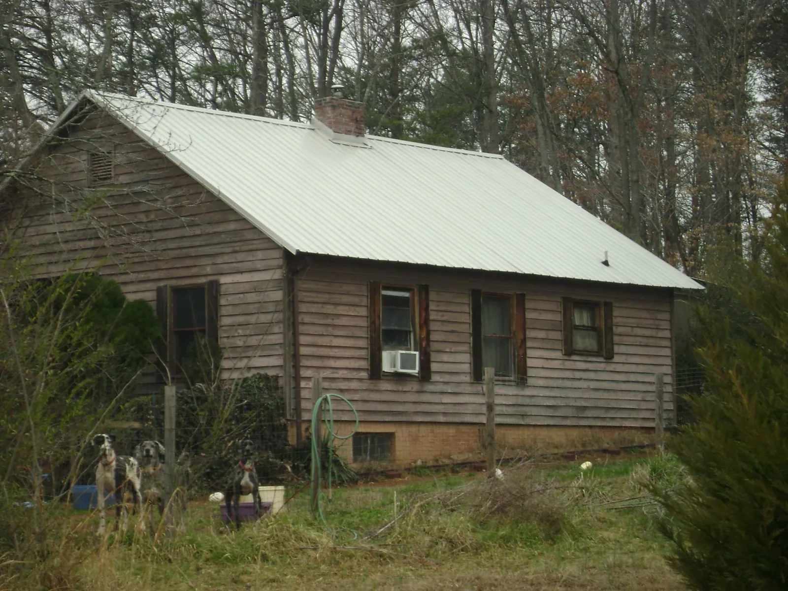 White metal roof on an old wood sided farmhouse, from a Asphalt Shingle Roof Repair job in La Ward